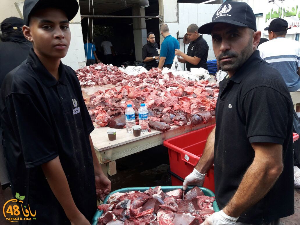 lod8om ada73y (44).jpg